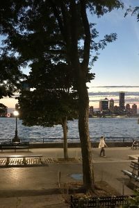 battery park city