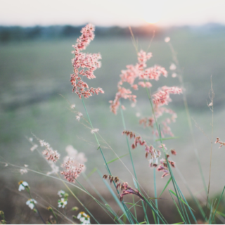 What Your Cervical Fluid Can Tell You About Your Reproductive Health