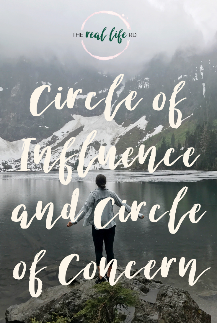 circle of influence and circle of concern