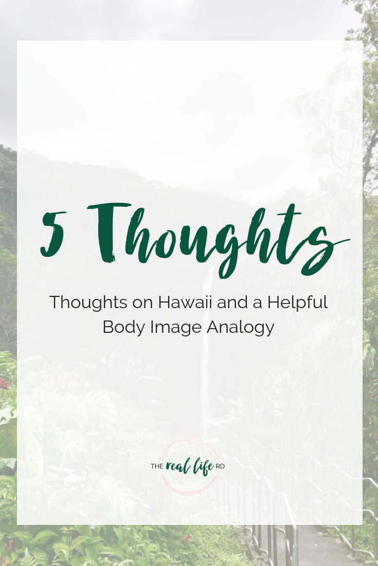 5 Thoughts [thoughts on hawaii and a helpful body image analogy]