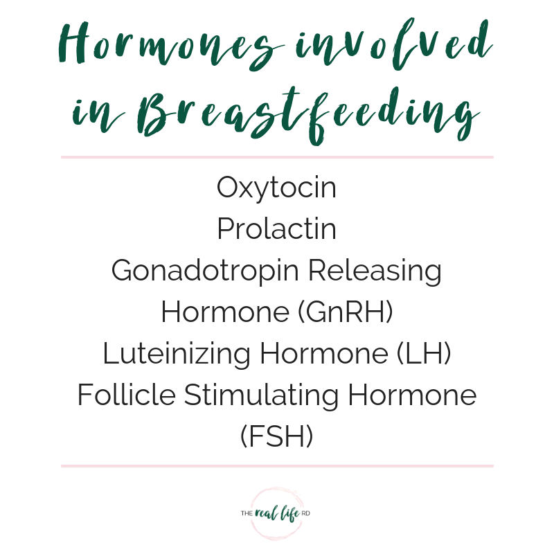 Hormones involved in Breastfeeding The Real Life RD