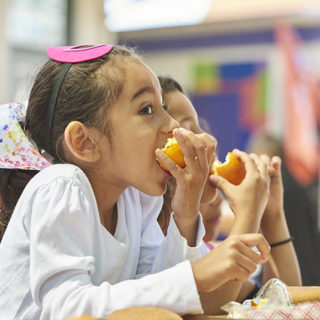 The Connection Between Proper Nutrition and Academic Success